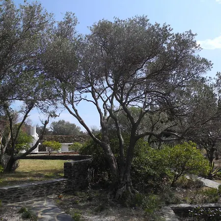 Tatil Evi Casa Con Vistas Y Piscina